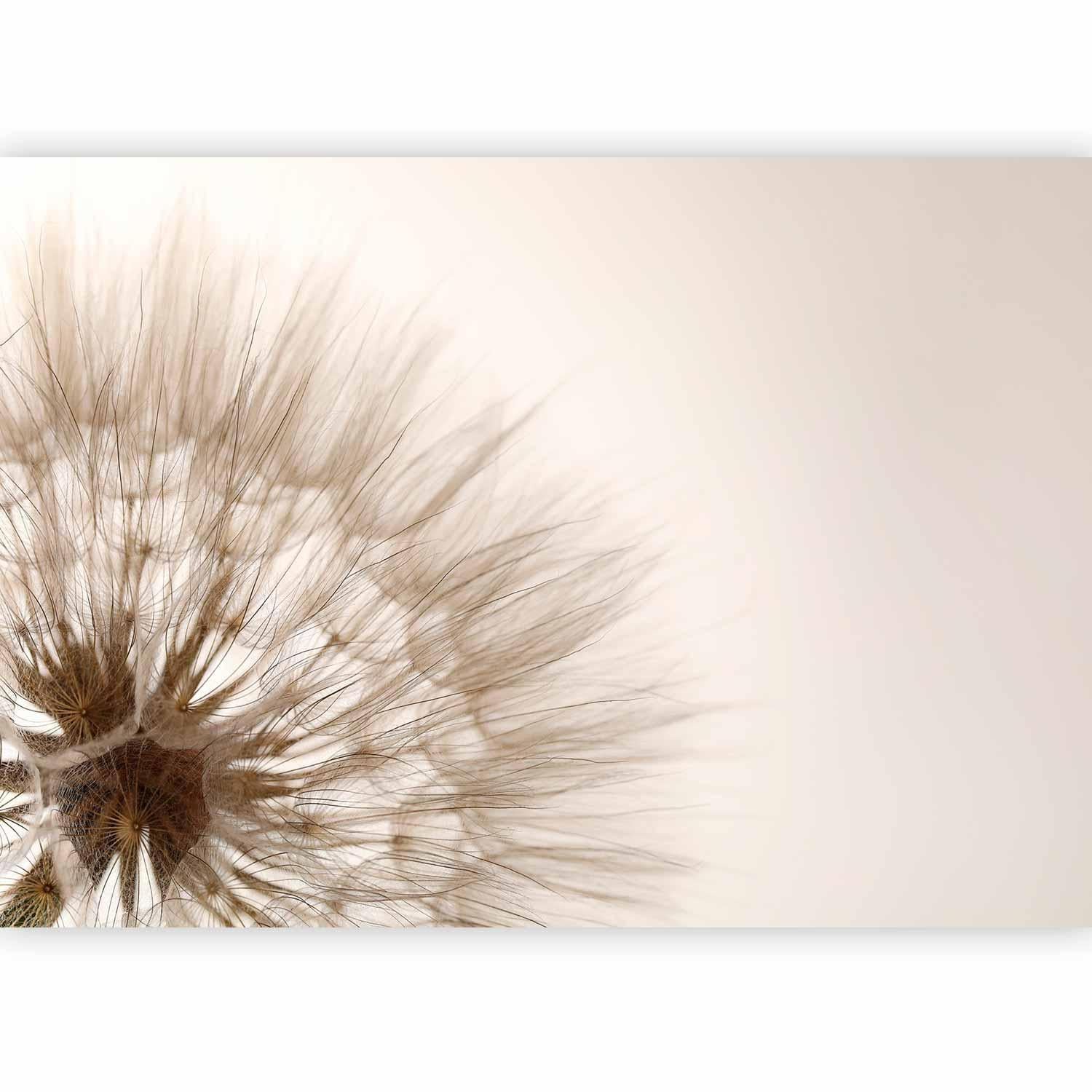 Fototapete - Nature close-up - close-up motif of a blowfly flower in sepia Artgeist