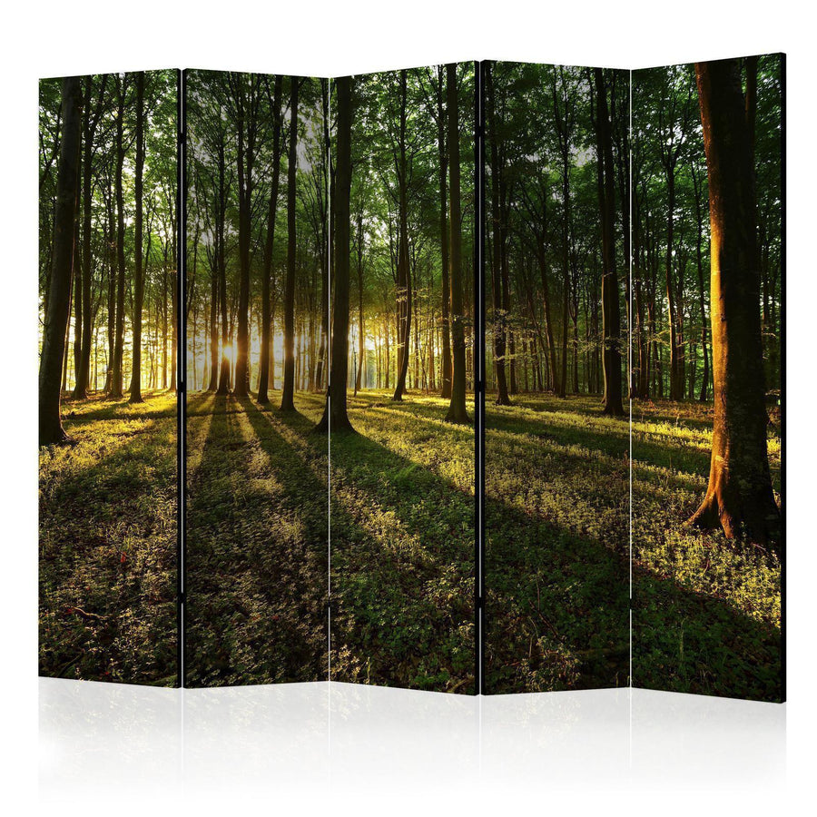Paravent - Morning in the Forest II Artgeist