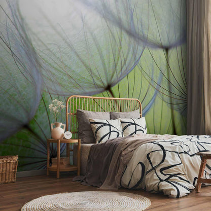 Fototapete - Fleeting moments