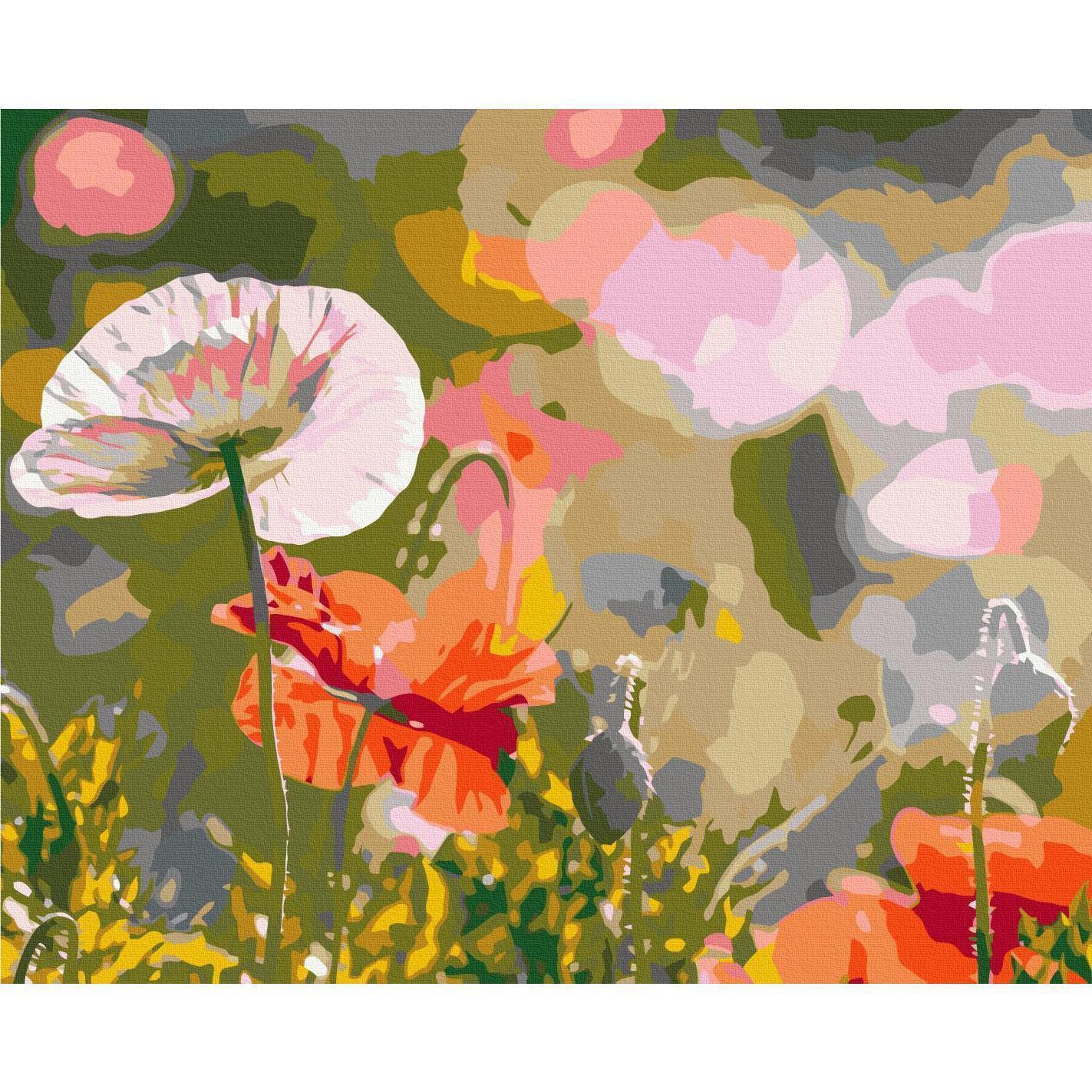 Malen nach Zahlen - Colorful Meadow