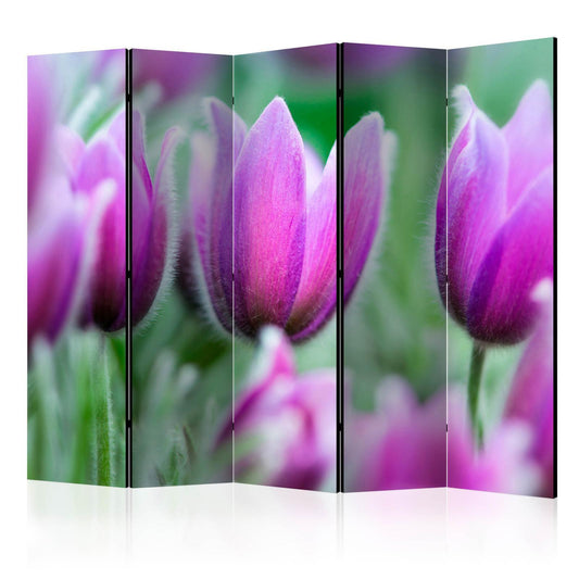 Paravent - Purple spring tulips II Artgeist