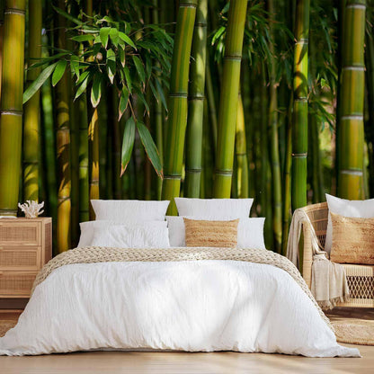 Fototapete Bambushain – Grüner Waldweg in sattem Grünton