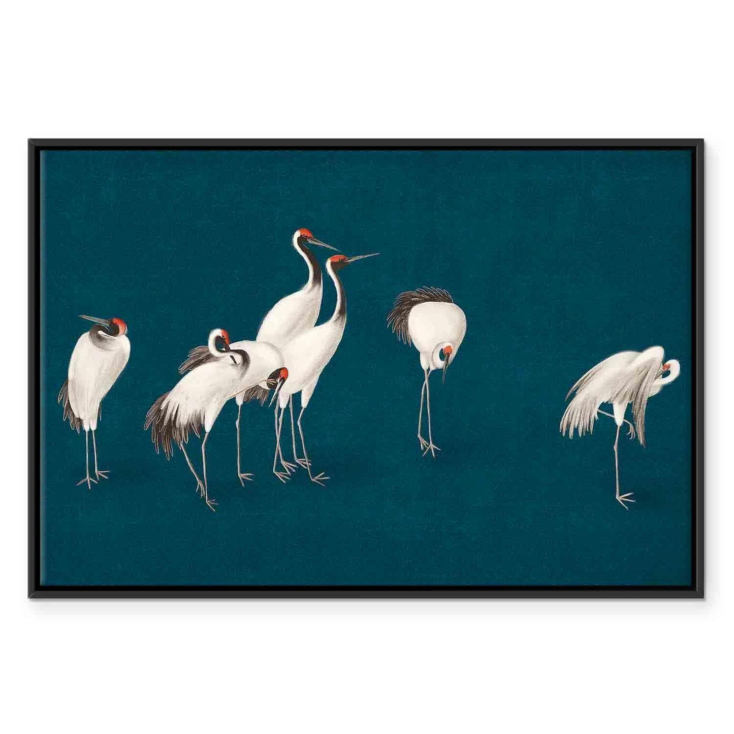 Leinwandbild - Evening by the pond - a group of cranes drawn in dry pastel on a dark turquoise background