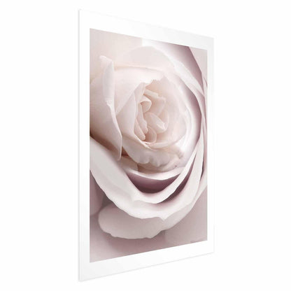 Poster Porzellan-Rose – Zarte Eleganz in Rosé