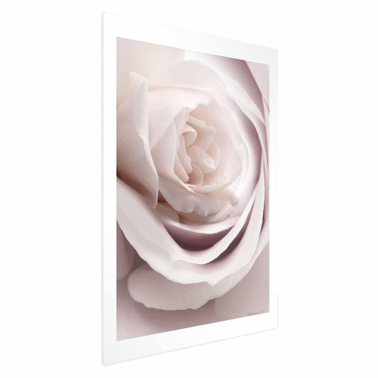 Poster Porzellan-Rose – Zarte Eleganz in Rosé