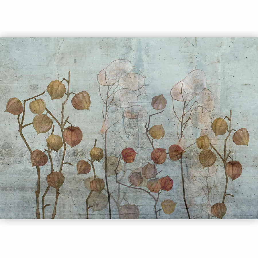 Fototapete „Painted Lunaria“ – Zarte Blütenkunst für stilvolle Räume