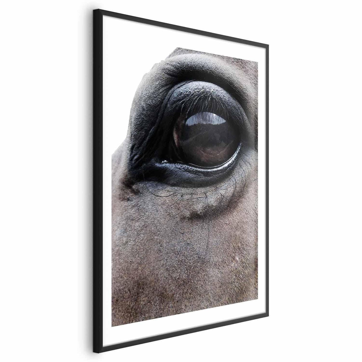 Poster - Honest Eyes Artgeist