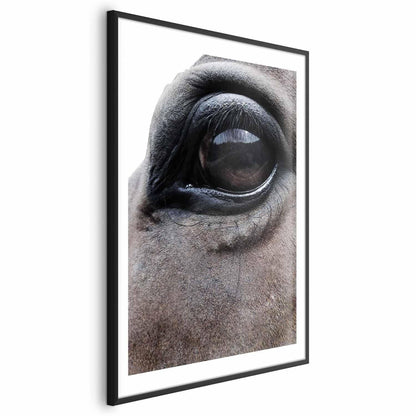 Poster - Honest Eyes Artgeist