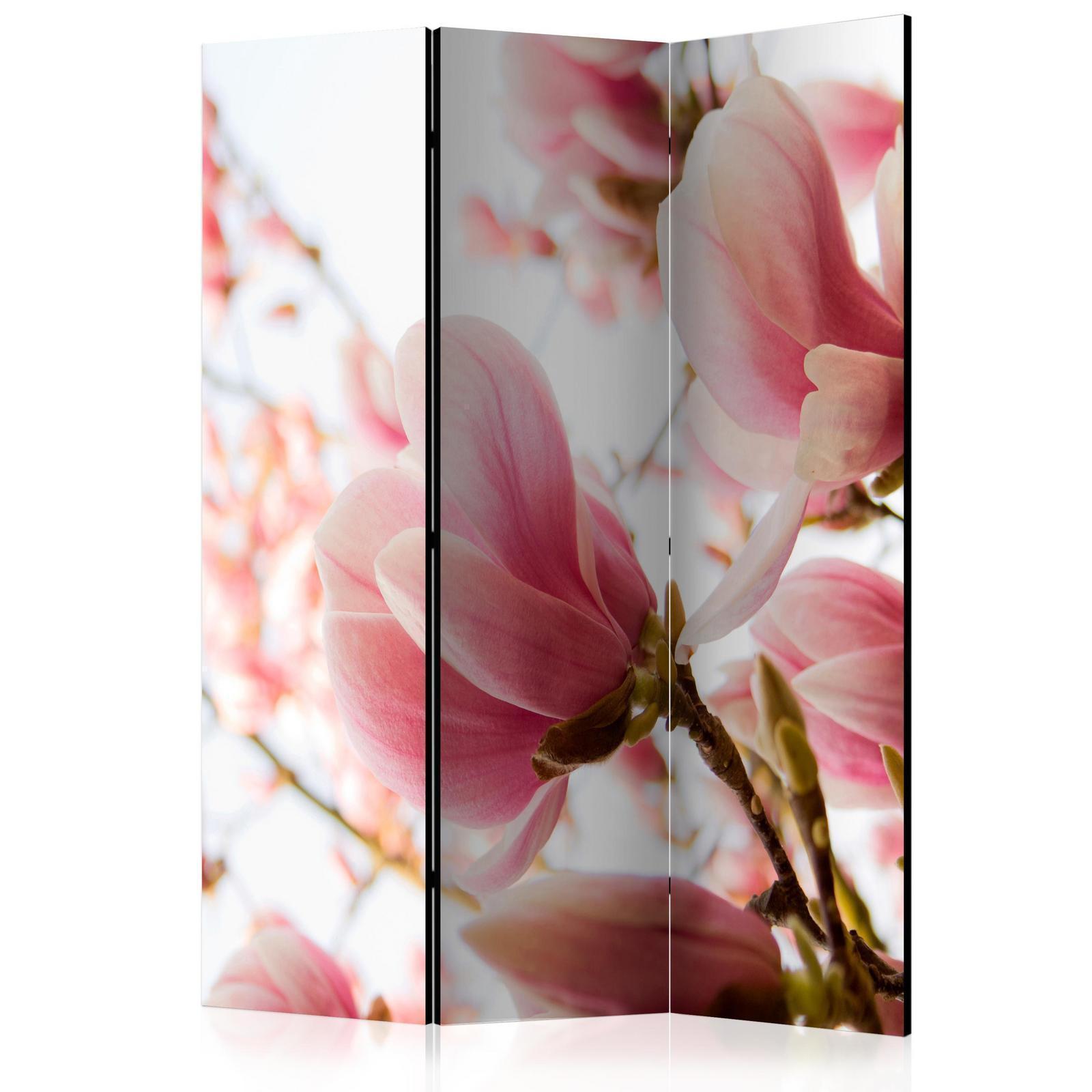 Paravent - Pink magnolia Artgeist