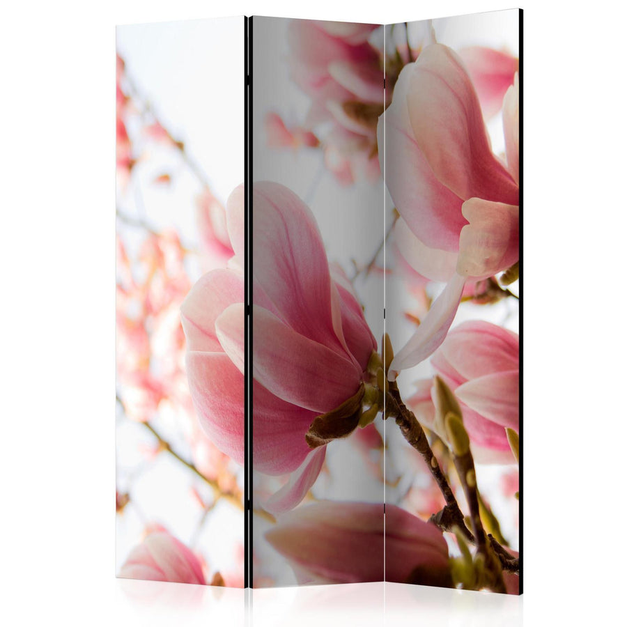 Paravent - Pink magnolia Artgeist