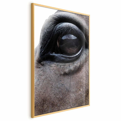 Poster - Honest Eyes Artgeist