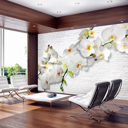 Weiße Orchidee auf grauer Struktur – elegante Vliestapete mit floraler Note für stilvolle Innenräume