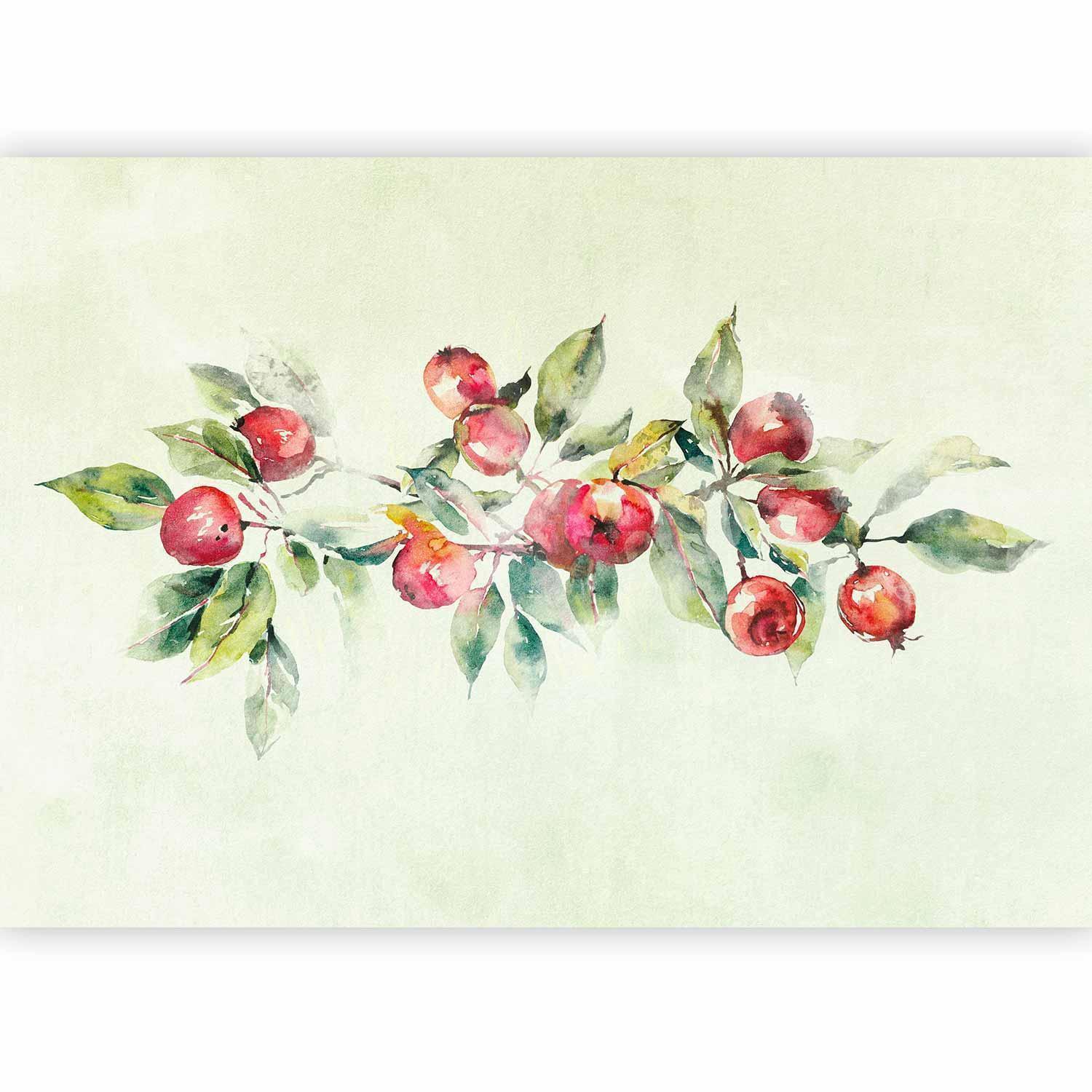 Fototapete - Apple branch - delicate landscape with a plant and apples on a white background Artgeist