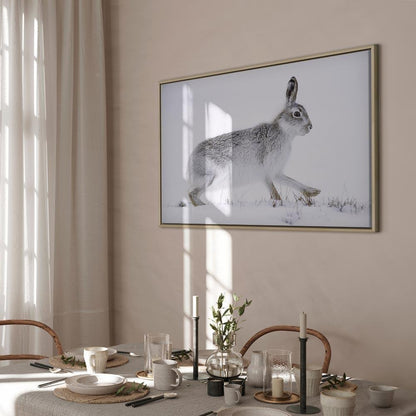 Leinwandbild - Hare (1 Part) Wide