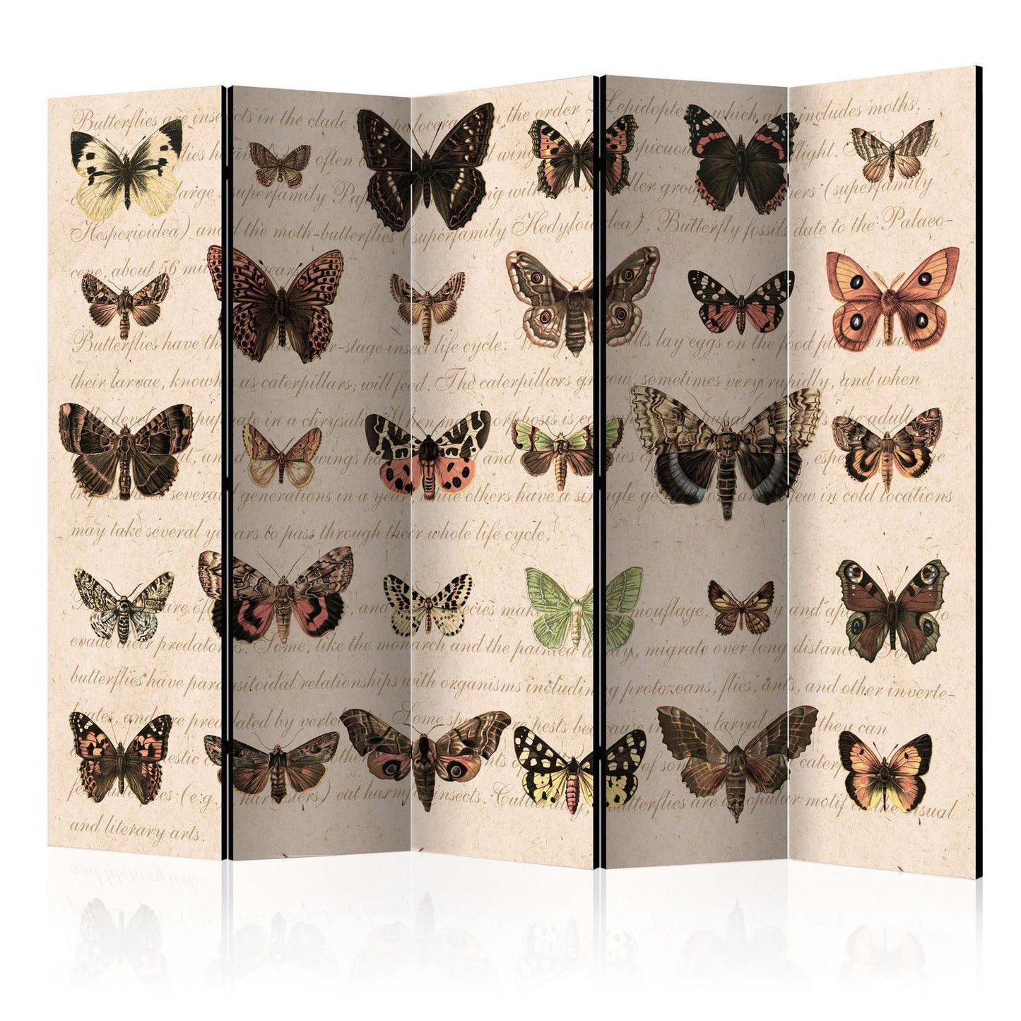 Paravent - Retro Style: Butterflies II Artgeist