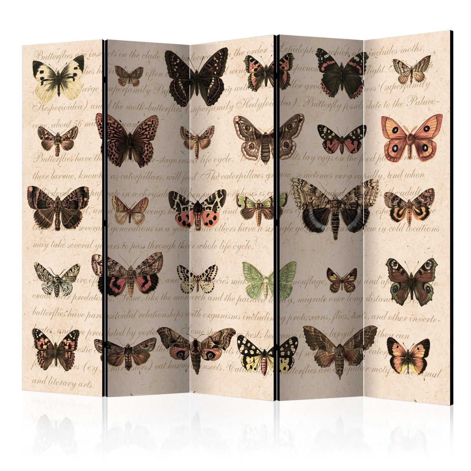 Paravent - Retro Style: Butterflies II Artgeist