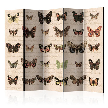 Paravent - Retro Style: Butterflies II Artgeist