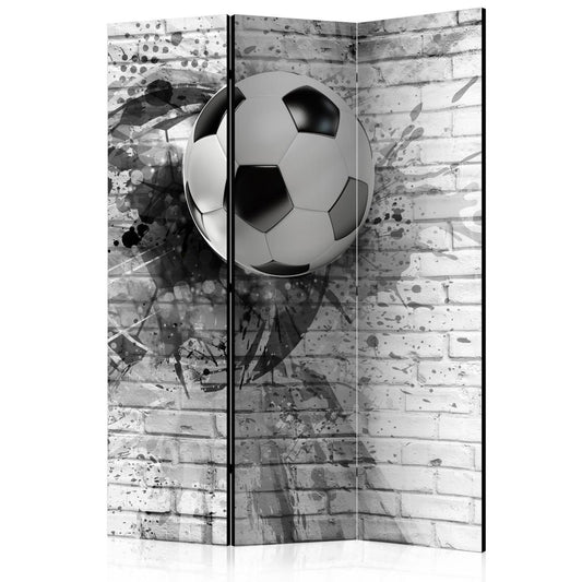 Paravent - Dynamic Football Artgeist