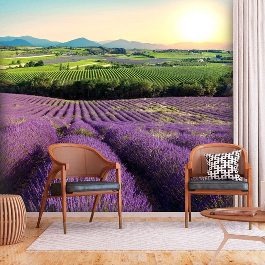 Fototapete Lavendelfeld – Ruhige Naturkulisse in Violetttönen