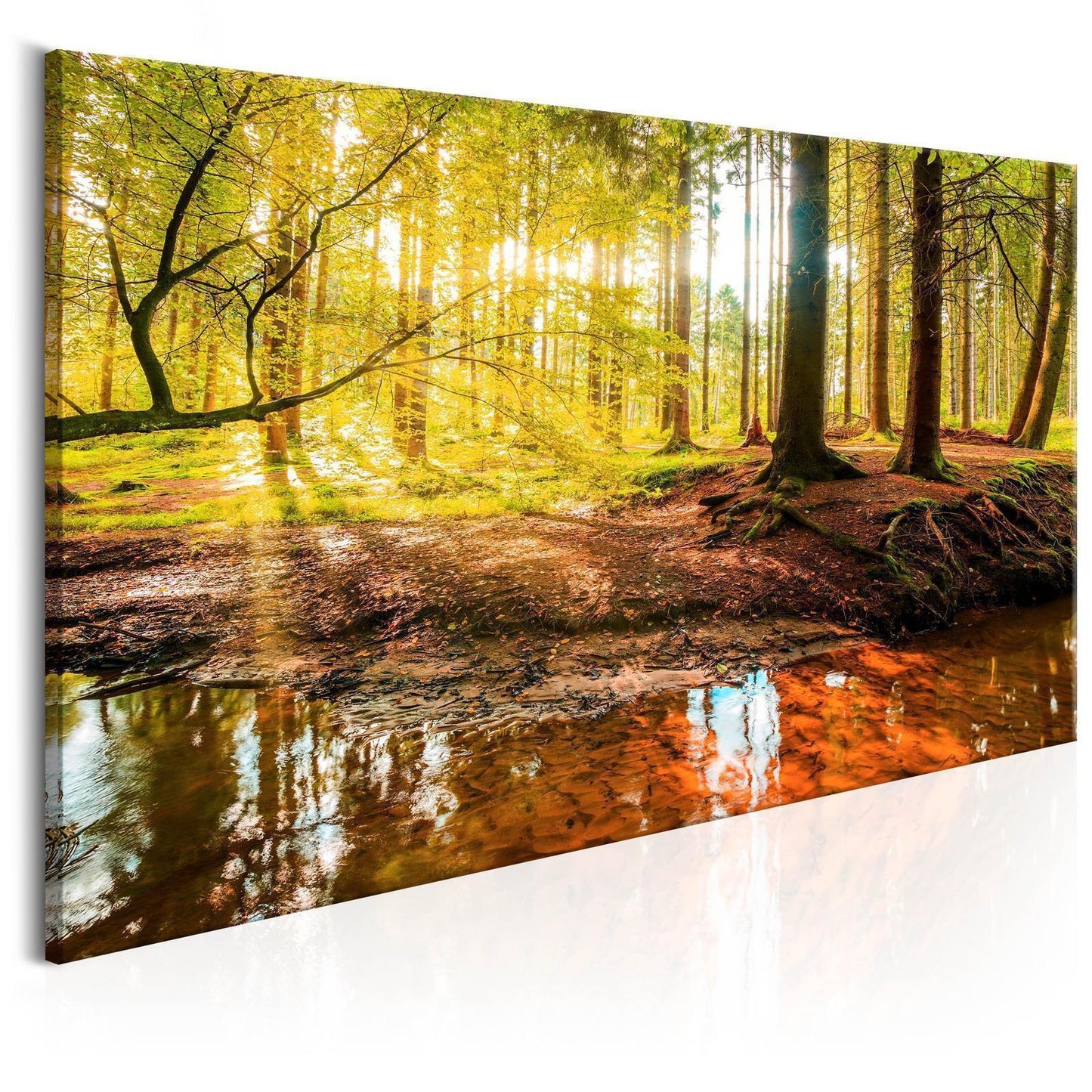 Leinwandbild Herbstträume – Stimmungsvolle Naturkunst in warmen Farben