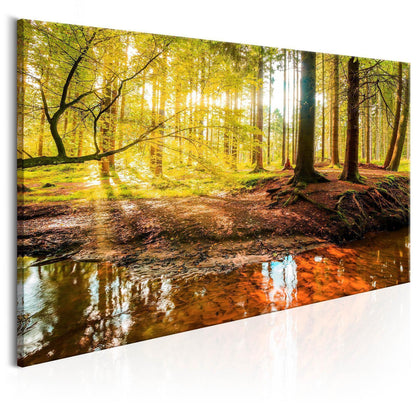 Leinwandbild Herbstträume – Stimmungsvolle Naturkunst in warmen Farben
