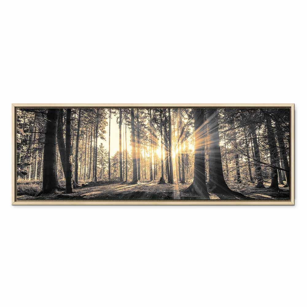 Leinwandbild - Forest Sun