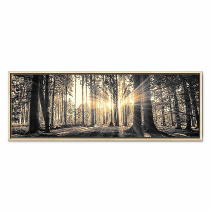 Leinwandbild - Forest Sun