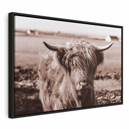 Leinwandbild - A Scottish Cow in Sepia