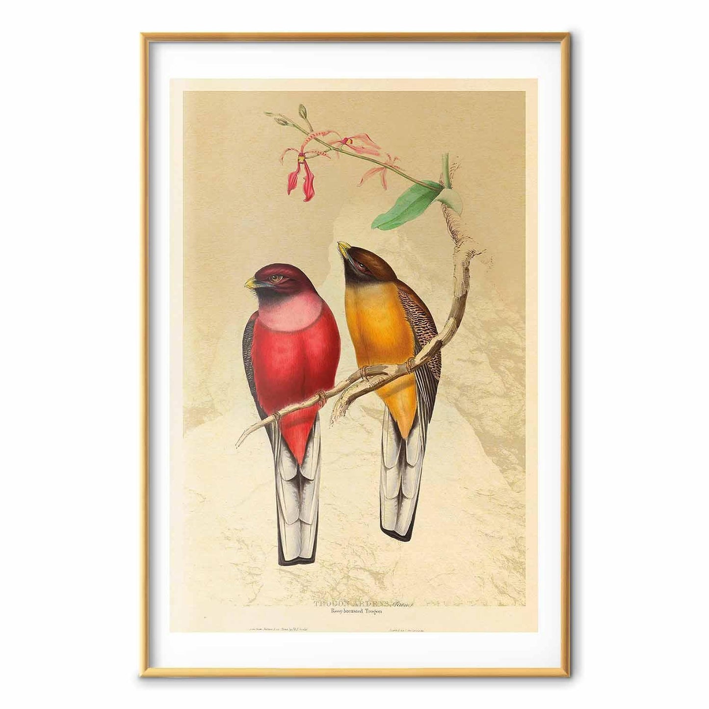 Poster - Birds on a Branch