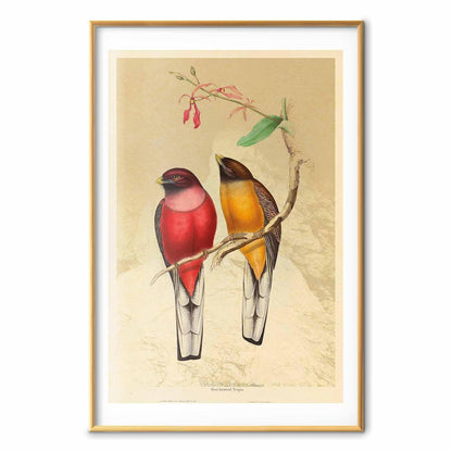 Poster - Birds on a Branch