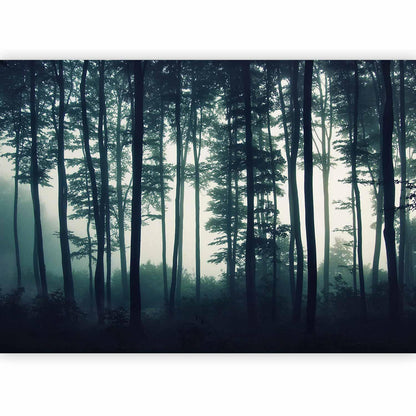 Fototapete - Dark Forest