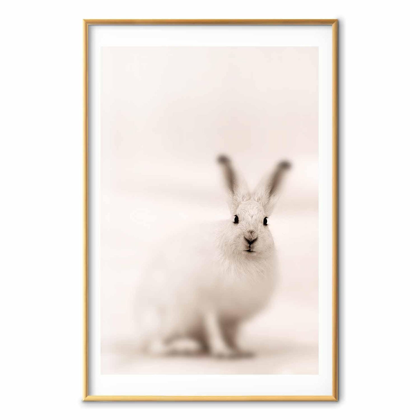 Poster - Fearful Look