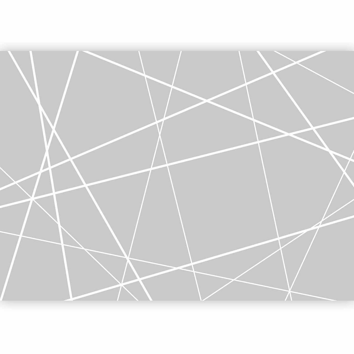 Fototapete - Modern Cobweb