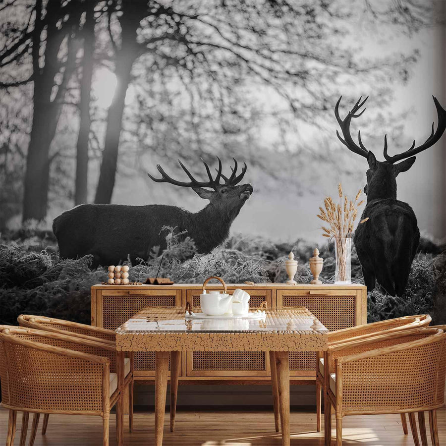 Fototapete - Deers in the Morning Artgeist