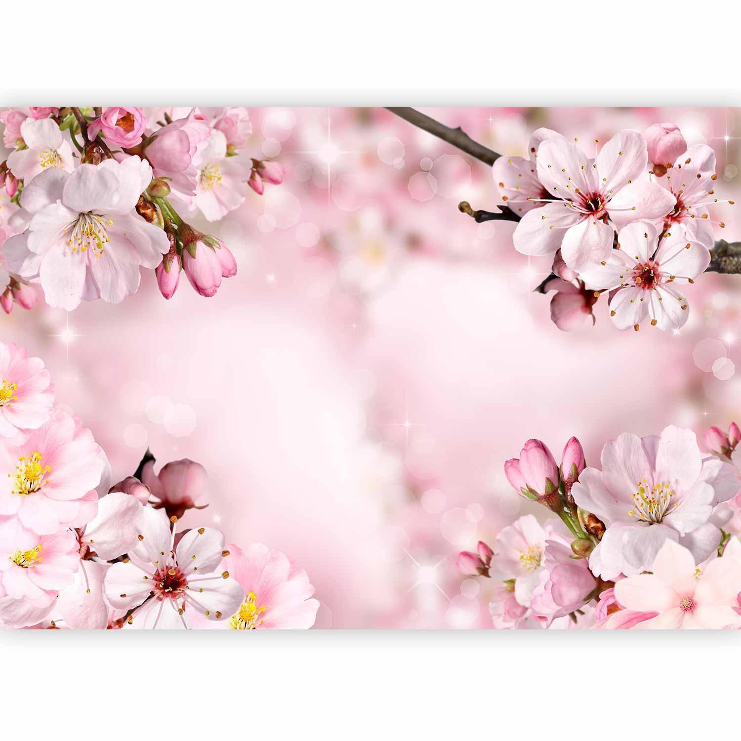 Fototapete „Frühlingshafte Kirschblüte“ – Zarte Blütenpracht für dein Zuhause sawelt.eu