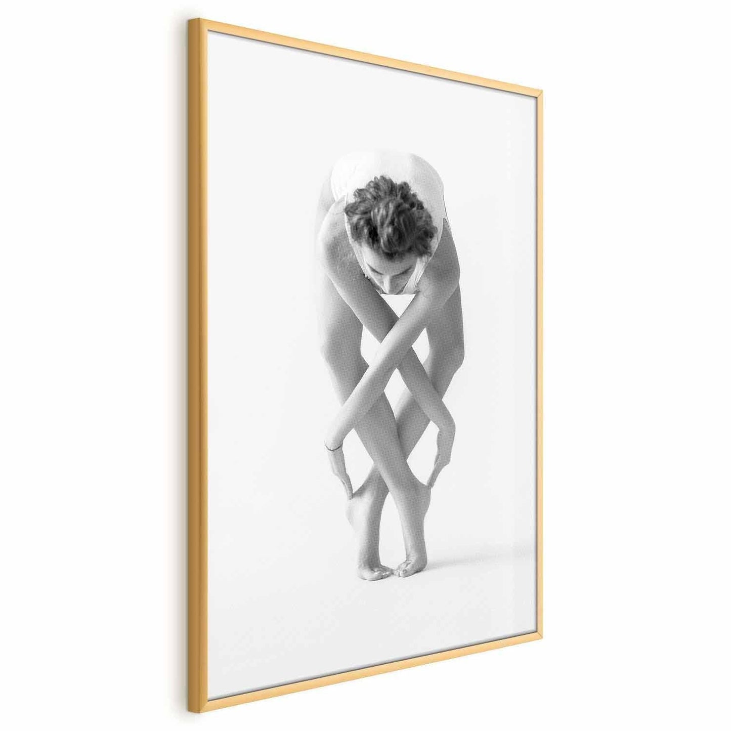 Poster - Ballet Artgeist