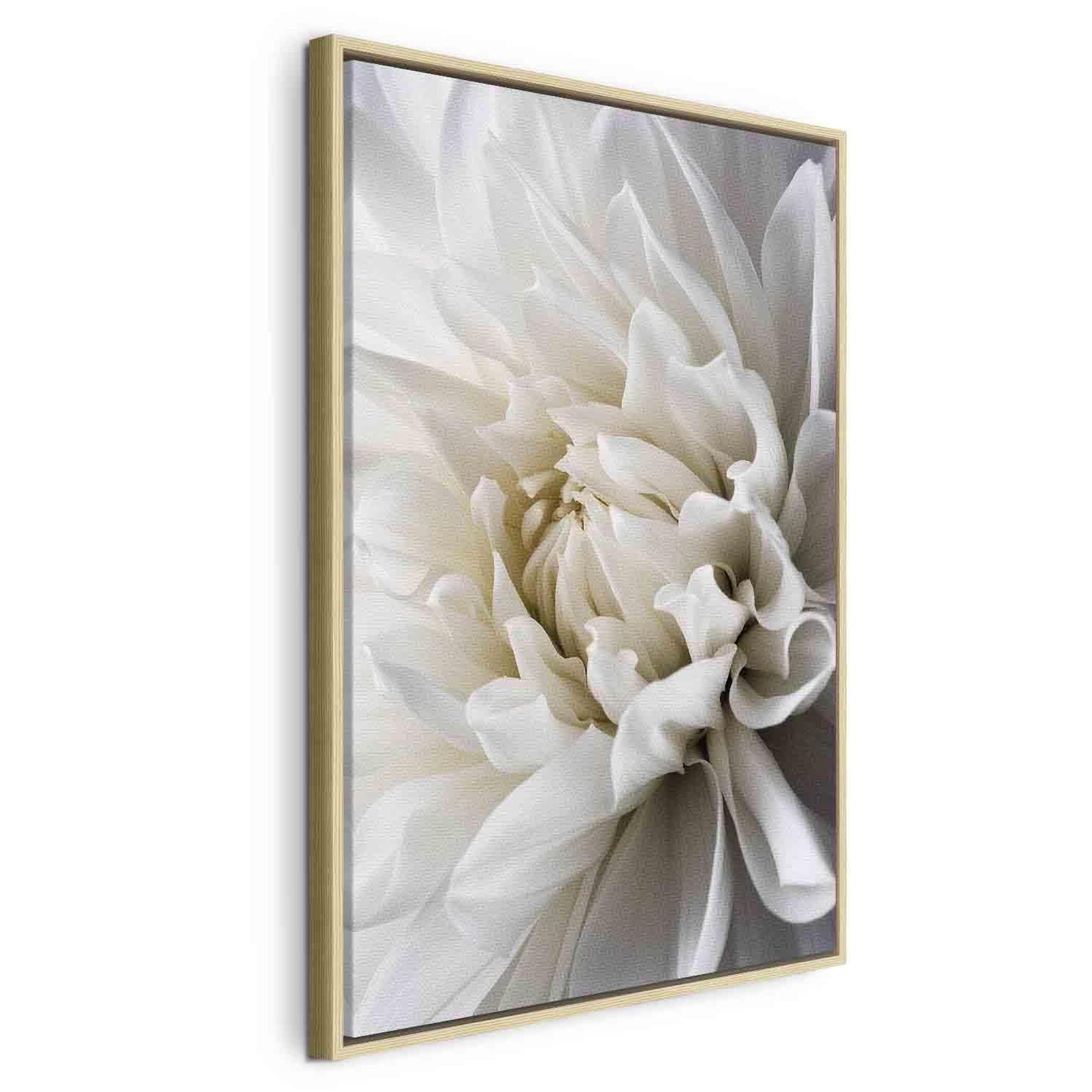 Canvas artwork featuring a white dahlia blossom.