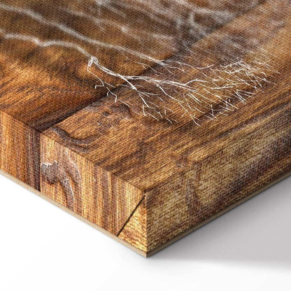 Leinwandbild - Tree Chronicle