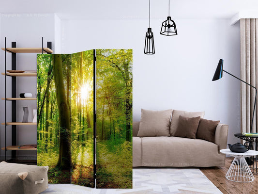 Paravent - Forest Rays Artgeist