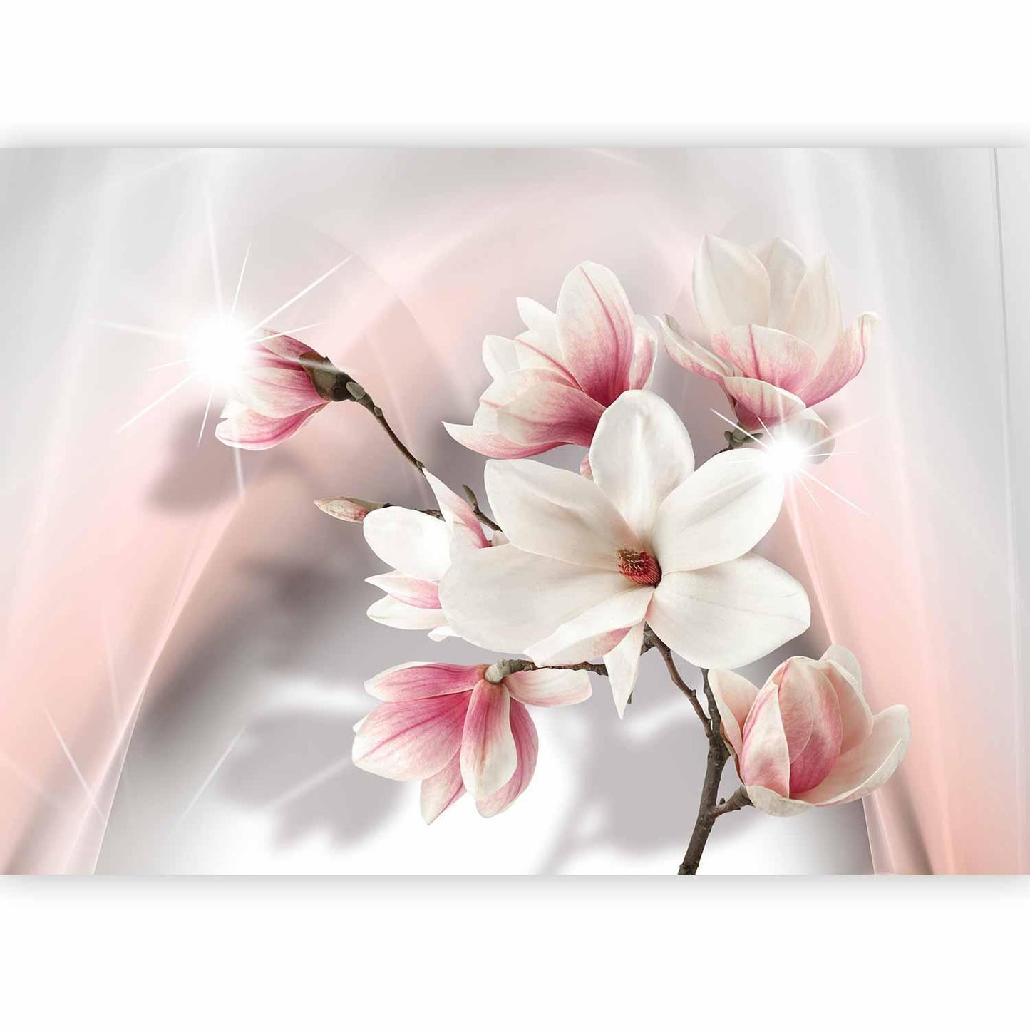 Fototapete - White magnolias Artgeist