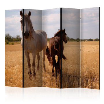 Paravent - Horse and foal II Artgeist