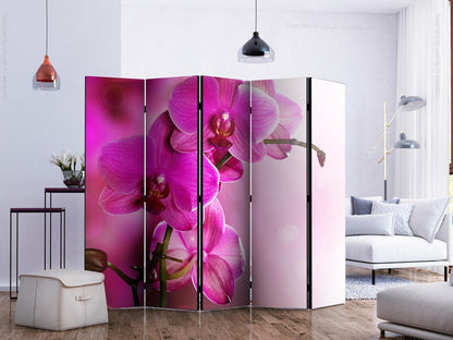 Paravent - Pink orchid II Artgeist