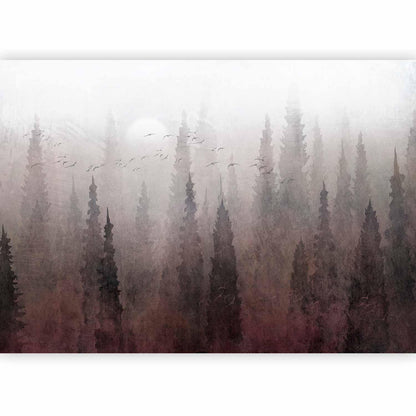 Fototapete - Bird's flight over treetops - landscape of a dark forest in fog