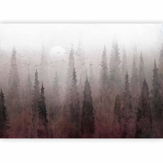 Fototapete - Bird's flight over treetops - landscape of a dark forest in fog