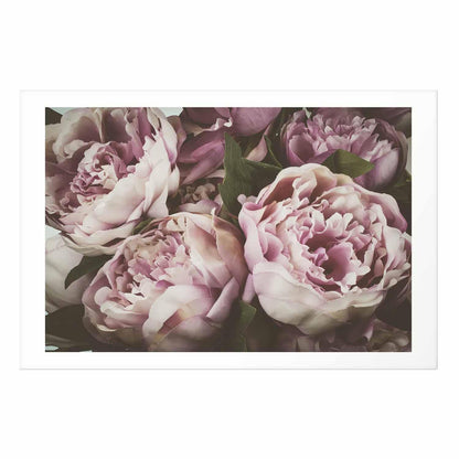 Poster - Pink Peonies
