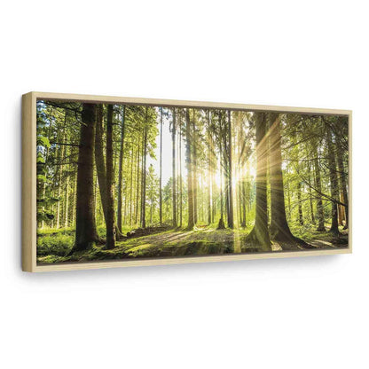 Leinwandbild „Tageslicht“ – Sanftes Sonnenlicht trifft Natur