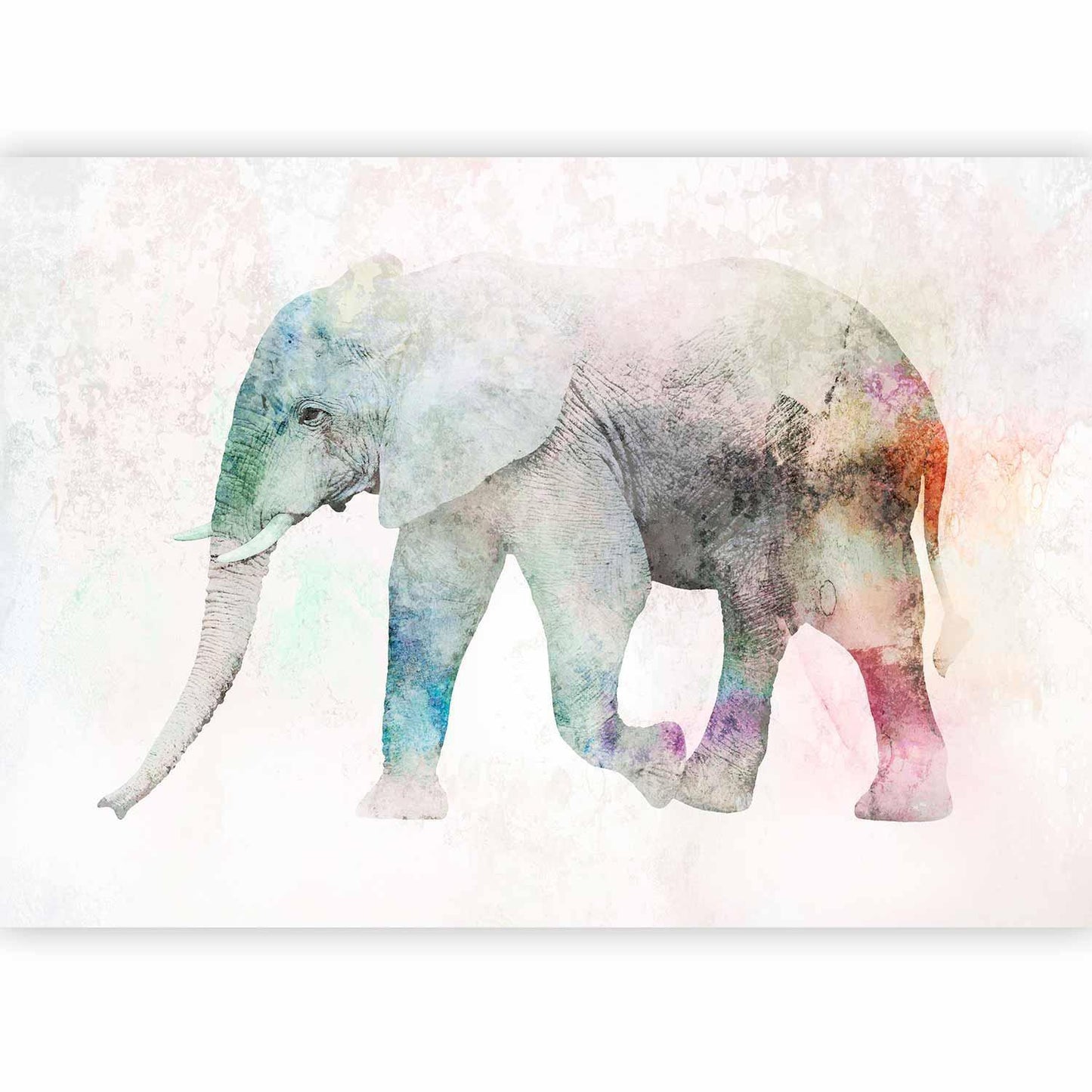 Fototapete „Painted Elephant“ – Farbenfrohes Elefantenmotiv in Aquarelloptik