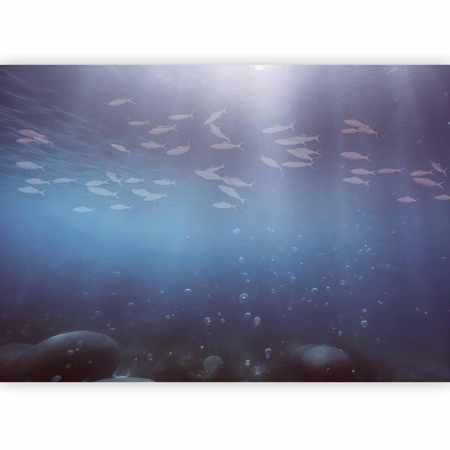 Fototapete Fische in der Tiefe – Japanische Unterwasserwelt in dunklen Tönen