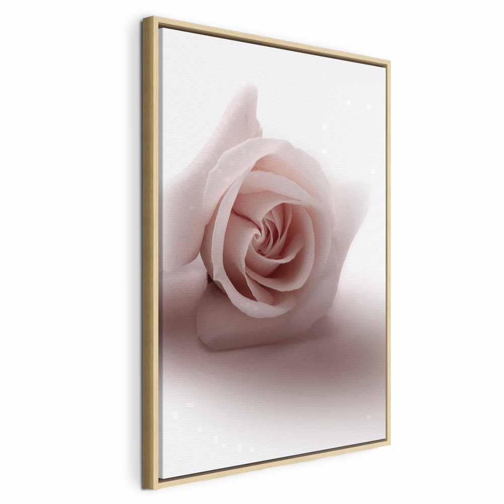 Leinwandbild - Floral Glamour Glow (1-part) - Delicate and Pastel Pink Rose