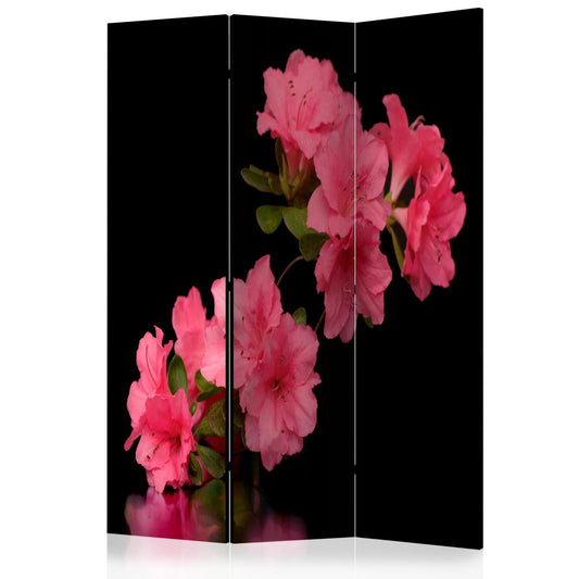 Paravent - Azalea in Black Artgeist